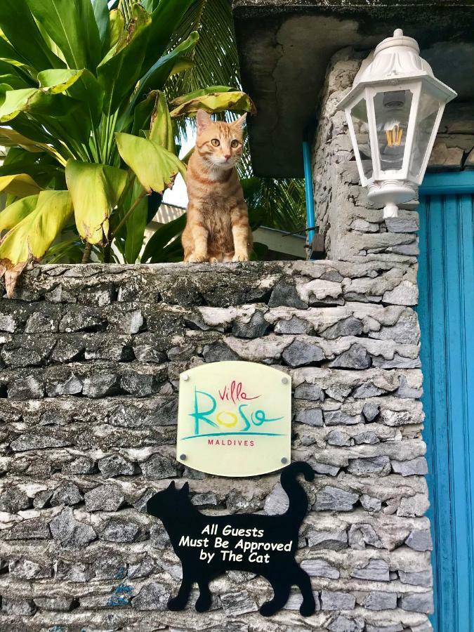 Villa Rosa Maldives Feridhoo Esterno foto